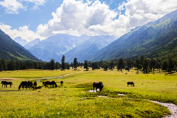 На просторе / ...