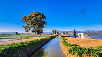 &nbsp; / Delta de l'Ebre - canal - Baix Ebre