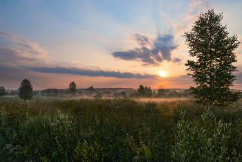 утренний полёт / ***