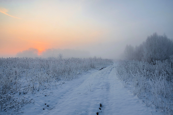 Рассвет в поле. / ***