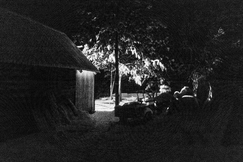 Жизнь вокруг / ***