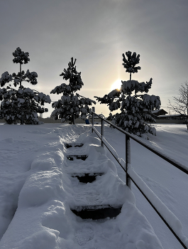 С Рождеством! / ***