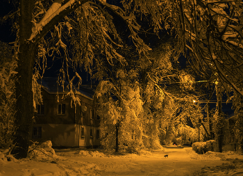 Зимний вечер в сталинках / Всех с Новым Годом и наступающим Рождеством!