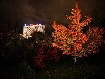 Мрачное торжество листопада . / Листопад при фонарях .