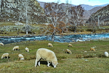 Библейский вид. / ***