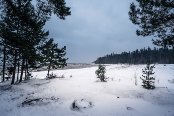 На берегу Ладоги. Январь 2026 г. / ***