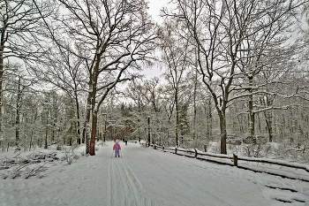 На лыжне. / ***