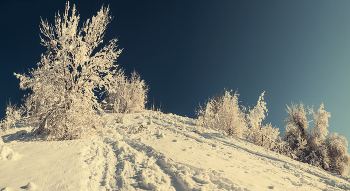 С Рождеством! / http://www.youtube.com/watch?v=bOUOO9j_sRY