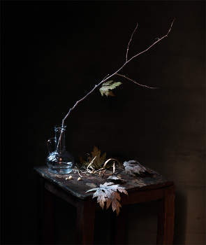 С листьями клёна / На старом табурете с листьями серебристого клёна