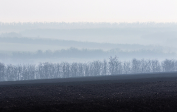Предчувствие тепла / Март в полях