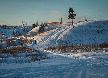 "Новый день нового года. Сосна"© / зимнее
