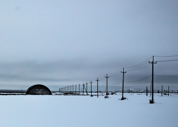 сено / зимовка сена