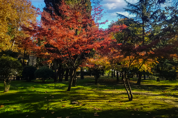 ЛЕПОТА / Вот и осень...
