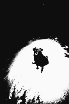 Пейзажизнь / ***