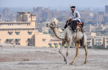Господин Полицейский / ***