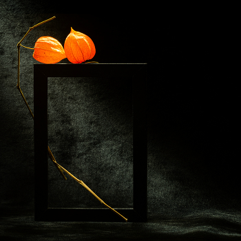 Этюд с физалисом V / 2026