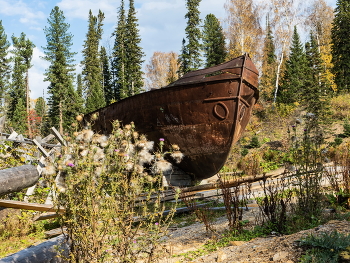 Приплыл. / ***