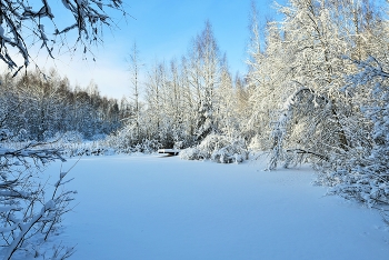 "Январь. Рождественский мороз ..." / "Январь. Рождественский мороз.
 Нигде ни облачка, ни тучки.
 Снег, ослепительный до слез,
 Скрипит все громче и скрипучей ..."