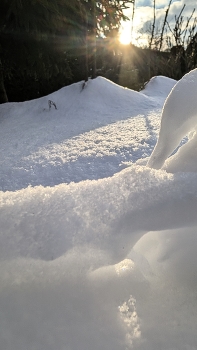 солнечный день / ***