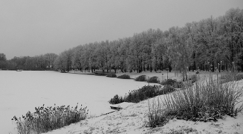 &nbsp; / Парк в поселке Первомайском