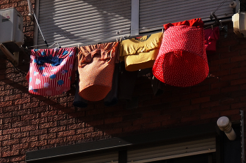 Колокольчики / ***