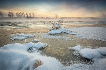 река Луга / 2026