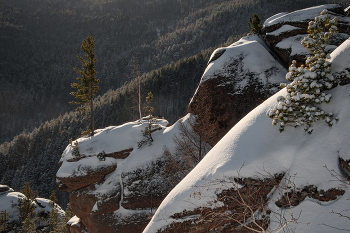 Одинокая на скалах / Красноярский природный заповедник "Столбы"