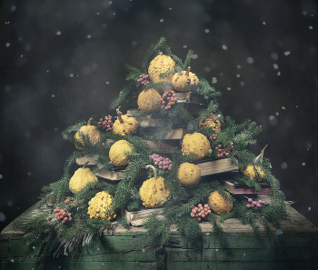 Ёлочки бывают разные) / Ёлочки бывают разные)