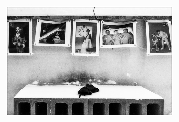 Застывшее время / На зимнем вернисаже