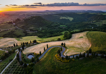 Вечерние поля / Вечерние поля, 2025