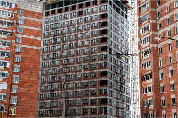 в нашем мире / поселился замечательный сосед