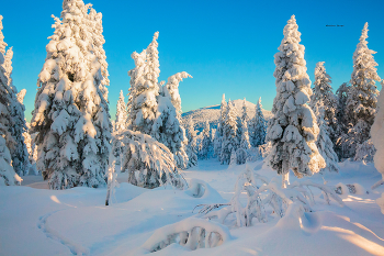 Таганай / Январь 2026 Таганай