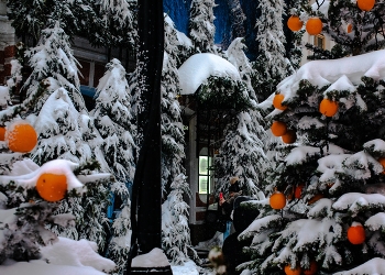 новогодний город / в городе зимой