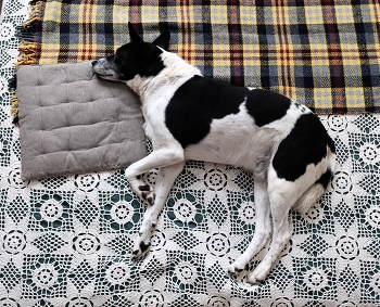 Если бы можно было лежать сильнее / ***