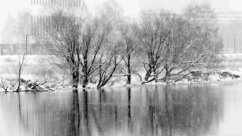 Снежок / Зимний пейзаж