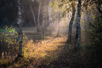 На солнечной полянке. / Августовские прогулки.