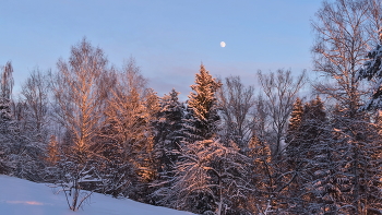 Луна и снег / После трёх дней снегопада на Академической даче им. И. Е. Репина
