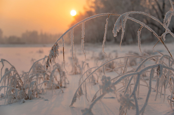 Нежность зимы / Красноярск