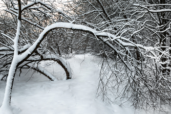 Зимнее / Декабрь
