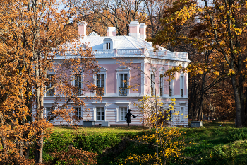 Дворец Петра Третьего в Ораниенбауме. / ***