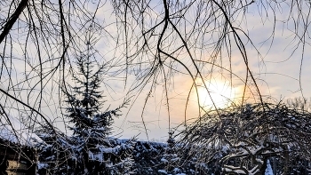 морозное утро / ***