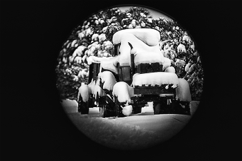 Жизнь вокруг / ***