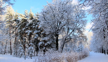 Зимним днем / Зимний пейзаж