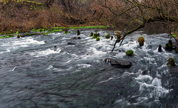последний день осени / на речушке