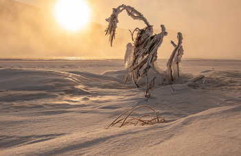 Зимние фантазии / Красноярский край