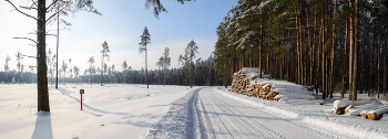 Дорога в лесу зимой. / ***