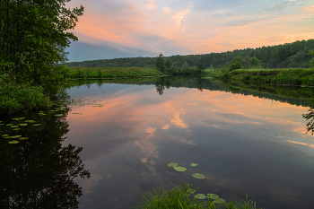 Июньское утро. / Озеро Рожок.