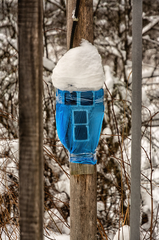 Пейзажизнь / ***