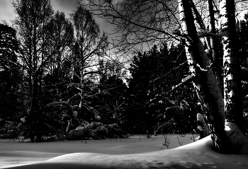 Сумерки. / Томская область.