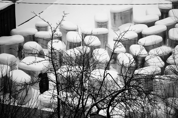 Суши-роллы / ***